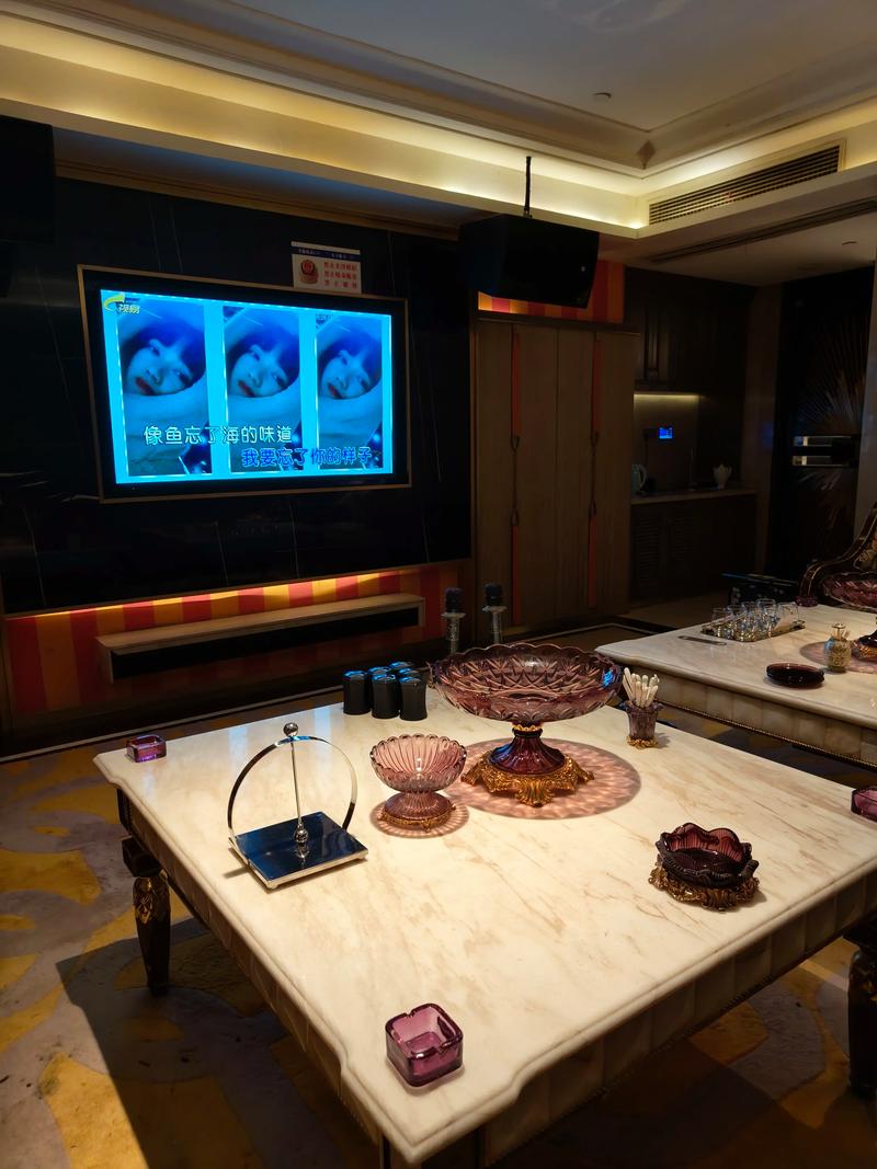 许昌商务ktv值得信赖-魏都区ktv预定